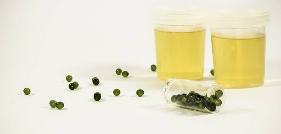 The Science Behind Synthetic Urine: Composition, Usage, and Effectiveness