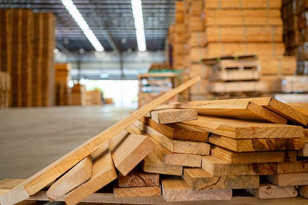 Why Surface Finish Matters: Decorative Plywood Trends for Modern Interiors